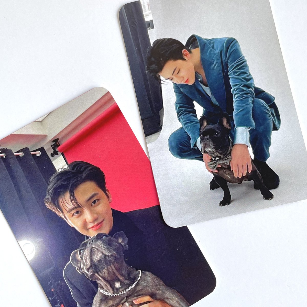 findmoneyforstu's tweet photo. โฟโต้การ์ดขนาดเท่าการ์ดจริง ใบละ 2.5฿ เท่านั้นคั้บ🧤✨
ꕤตัดมุมฟรี
ꕤมีซองใสให้ฟรี

💖ทางร้านรับออเดอร์ถึงวันที่ 28 นะคั้บสั่งหลังจากนี้จะได้รอบส่งเป็นหลังวันที่ 2 น้าา
#รับทําgiveaway #รับทำของแจก #รับทําโปสการ์ด #รับทําโฟโต้การ์ด #รับทำไอดีโฟโต้ #รับทำรูปติดบัตร #รับทำโพลารอยด์ https://t.co/sa82XSi6kj