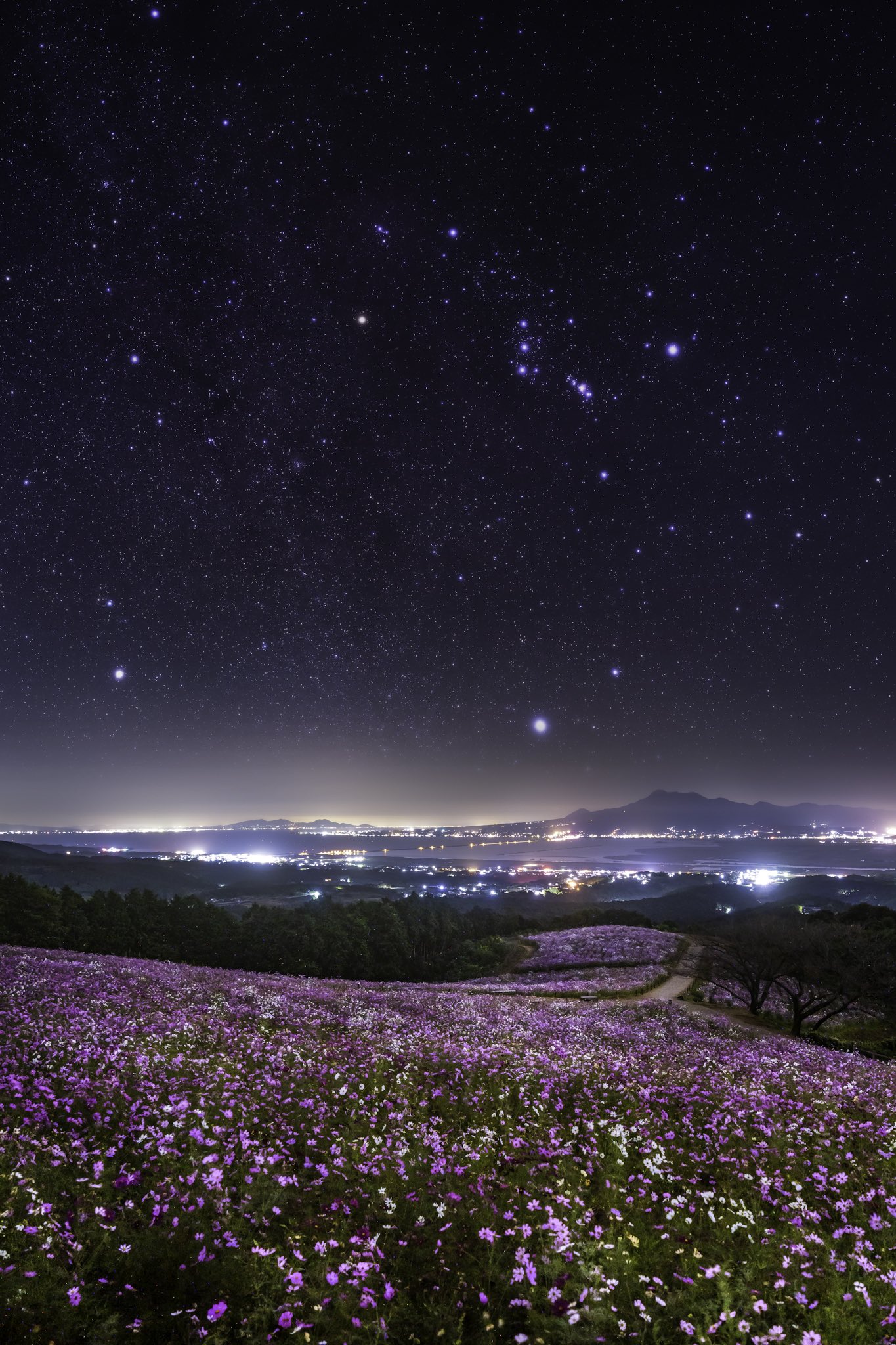 天に星地に花人に愛 Twitter Search Twitter