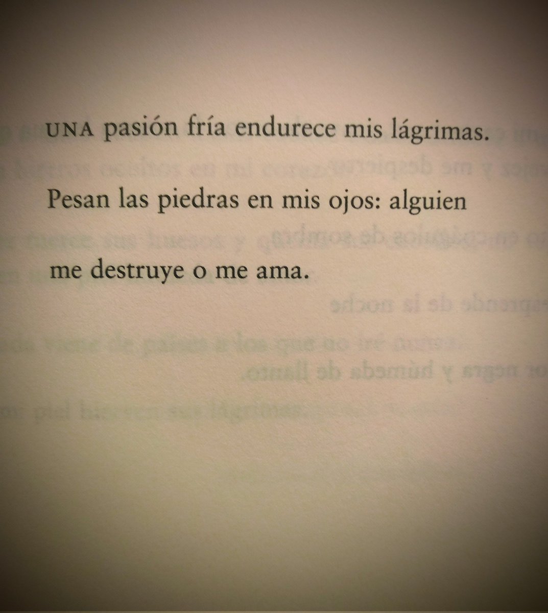 alguien... 🖊️ Antonio Gamoneda.