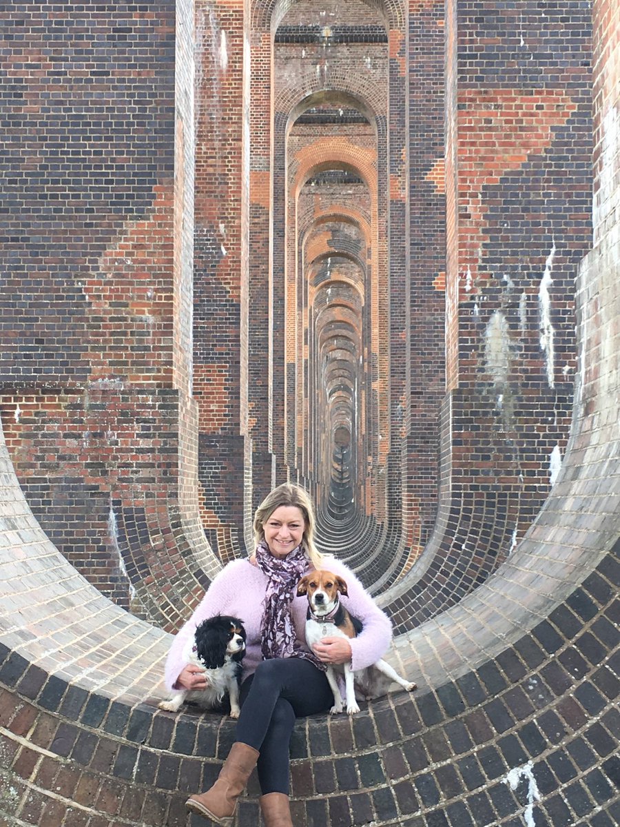 Martin Dugard tweet media