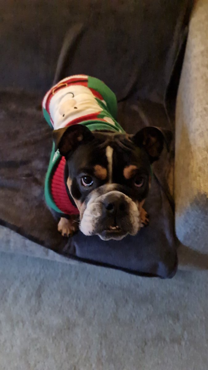 Melanie Ellyard tweet media