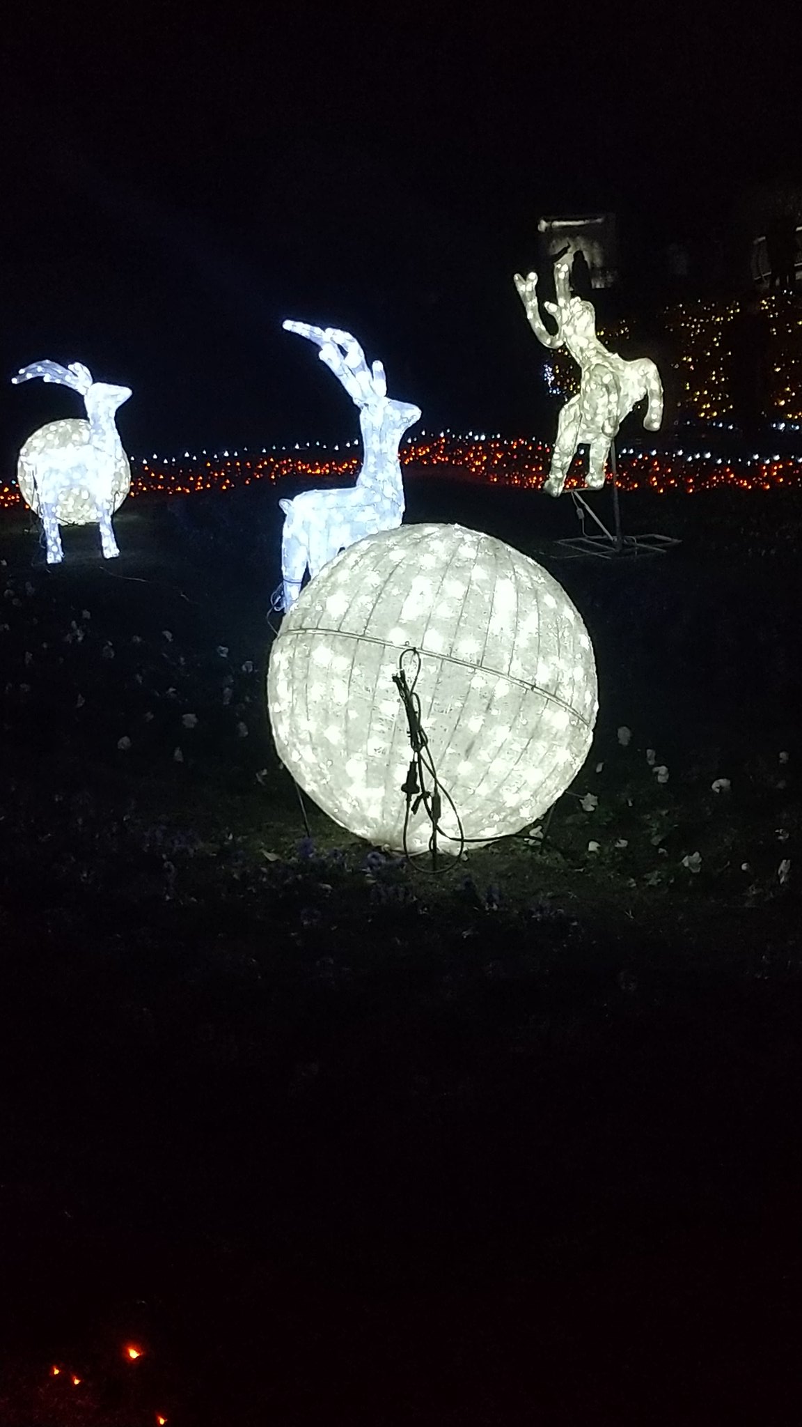 白濱亜嵐君 Mayu Mxksb1iyvn7b6wb Twitter