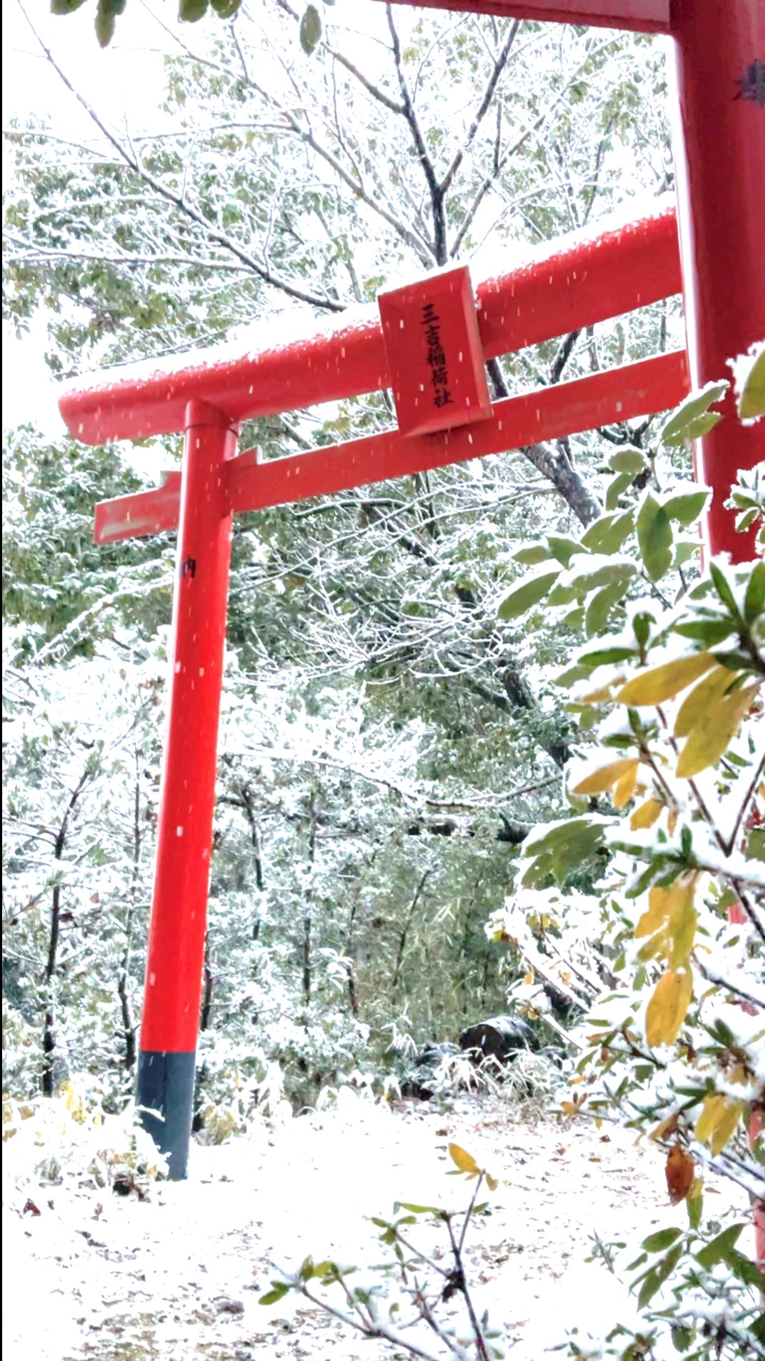 三吉稲荷神社 三重県桑名市 今日の夜も寒波のため冷え込むそうです また雪も全国的に積もるそうですのでお気をつけください 暖かくしてお体をいたわりご自愛くださいませ 三吉稲荷神社 稲荷神社 神社 三重 桑名 鳥居 冬 雪 雪景色