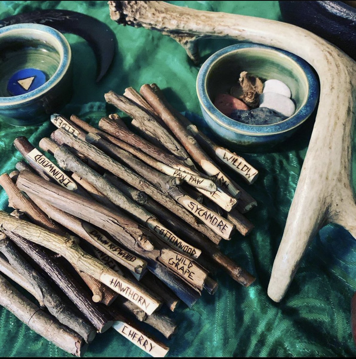 LearnWithMrsE's tweet photo. What a fantastic idea. Great way for children to see each unique aspects of each tree while also learning the names and helping to identify. #outdoorlearning #natureplay #nature #learnthoughplay #teachertok #earlyyears #educational #teachertok https://t.co/KG4JerU0GW