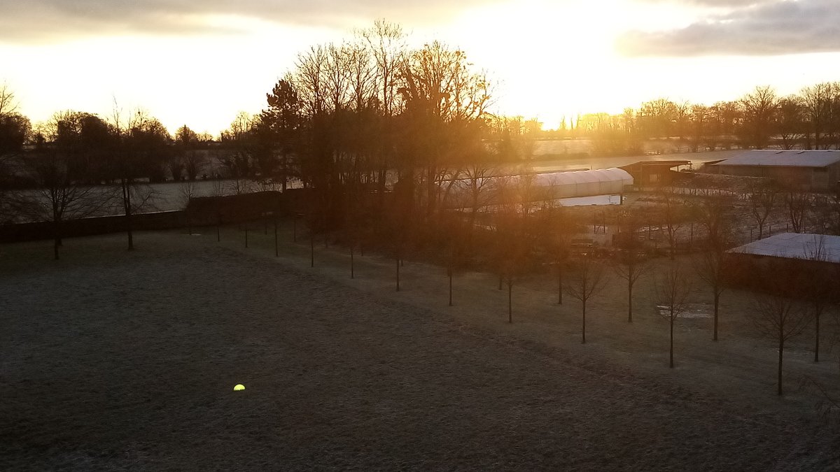 abbayedemondaye's tweet photo. Le soleil levant, l'astre d'en haut, nous a visités et nous visite encore, "pour illuminer ceux qui habitent les ténèbres et l'ombre de la mort, pour conduire nos pas au chemin de la paix" (Luc 1, 79). 
Depuis la colline de Mondaye, belle fête de la Nativité du Seigneur ! https://t.co/FIB5SxNOHS