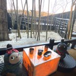 ツイートに含まれる画像