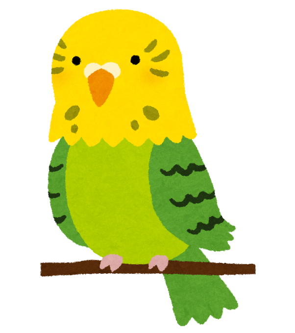セキセイインコのtwitterイラスト検索結果 古い順