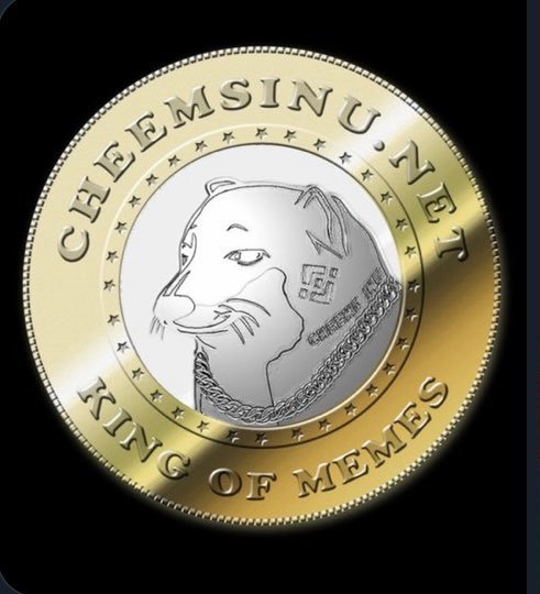 cryptodinero6's tweet photo. @100XCryptoGem There's no doubts and everyone know it 📈🚀 #CheemsBillionaire https://t.co/ga5UDpWqR1