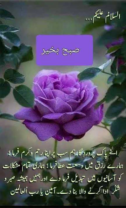 DailyGujratNew9's tweet photo. https://t.co/rCQtoJ4YpW