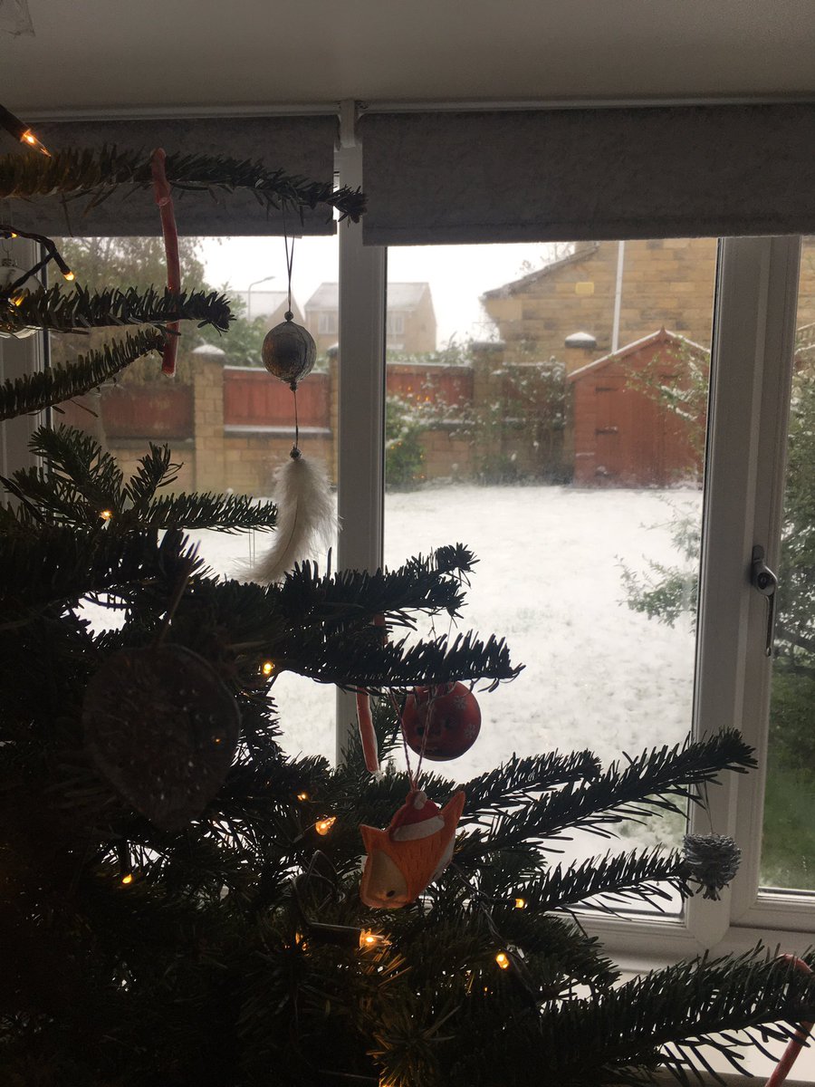 Everlong_x_'s tweet photo. White Christmas 🎄 https://t.co/q88z116vo5