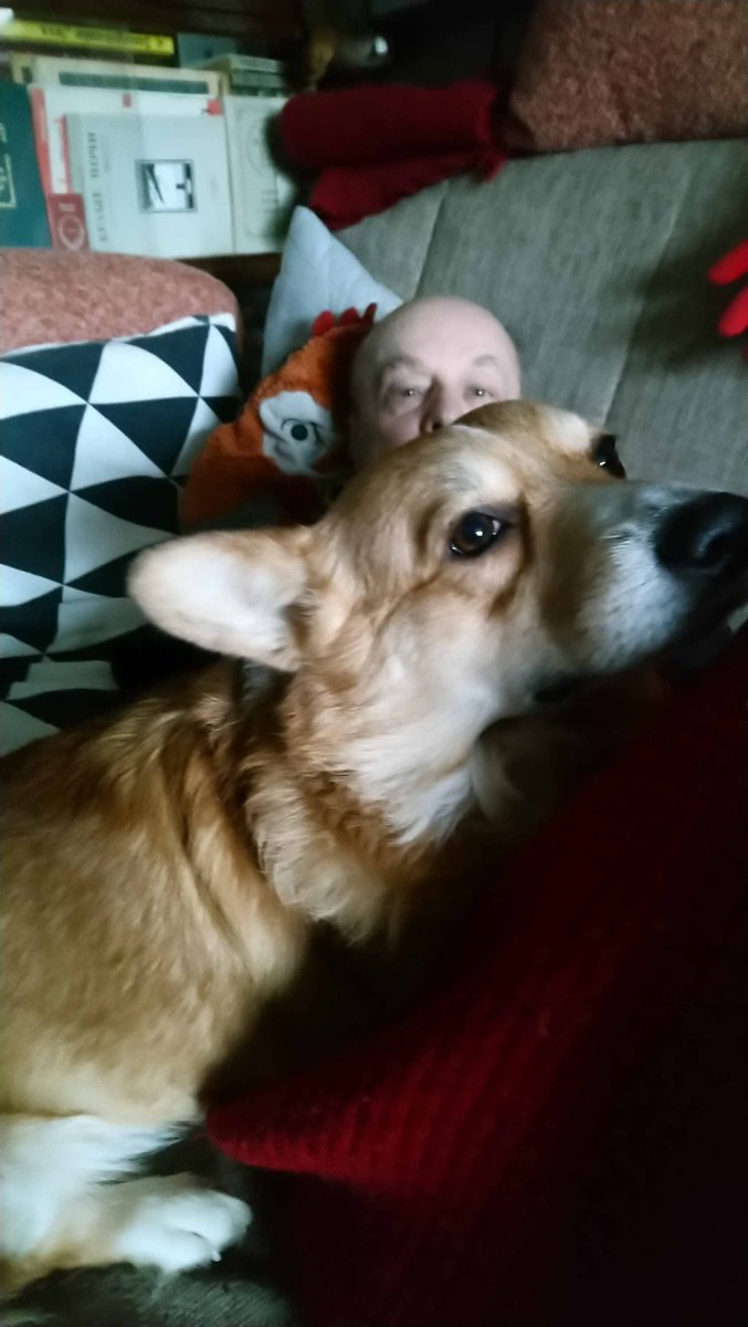 Евгений Козловский tweet media