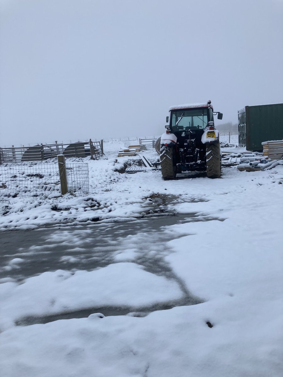 teesdalecheese's tweet photo. View from the dairy this morning. Cold in here but better than outside feeding the animals!
#thanksjonathan https://t.co/mFZCEgGl8d