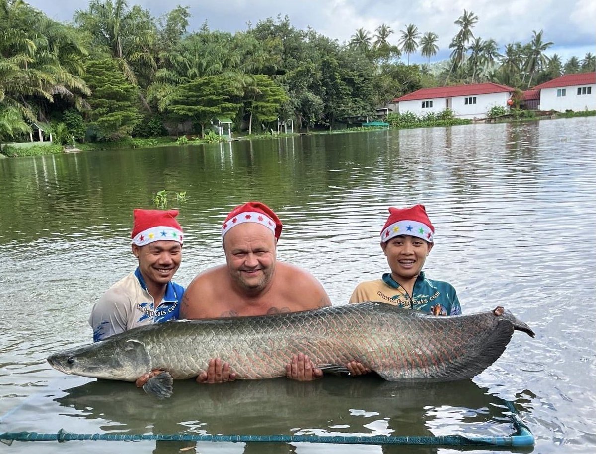 TopCatsThailand's tweet photo. Happy Christmas to all. We are fully open and the fish are biting
Larry with 2 nice Arapaima on Christmas Eve
#festivefish #fishing #xmasholidays
https://t.co/LtUJTk0KIQ https://t.co/RHb2JknhFy