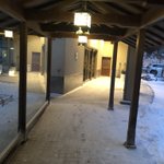 ツイートに含まれる画像