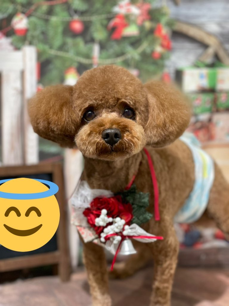 YR__YR's tweet photo. 楽しいは楽しいんけどな
いつまで続ければいいねんこの仕事 https://t.co/ZSHlb4Kigr