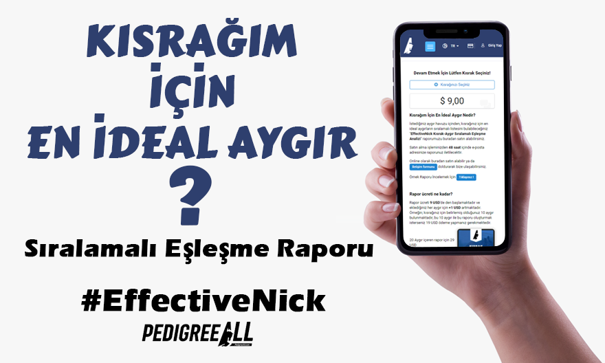 pedigreeall's tweet photo. 🇹🇷American (2017) @yucelaknergiz
#EffectiveNick 2022 Aşım Yılı Kısrak-Aygır Sıralamalı Eşleşme Analizi
1-Mer De Glace @OzcolakStud
-Erkek:%34
-Dişi:%66
-Tay:103
-Koşan:77
-WNR:64
-GWNR:32
⬇️
2-Euprhates @yusra_harasi
3-Kluger
4-Sefir Bey
5-@PapaClem1
https://t.co/TLguQK7Yok https://t.co/3tQVUur9YO