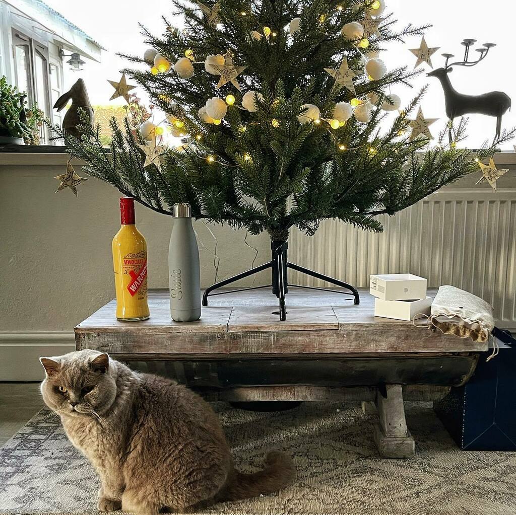 Art Workshops & Stays in Cornwall tweet media