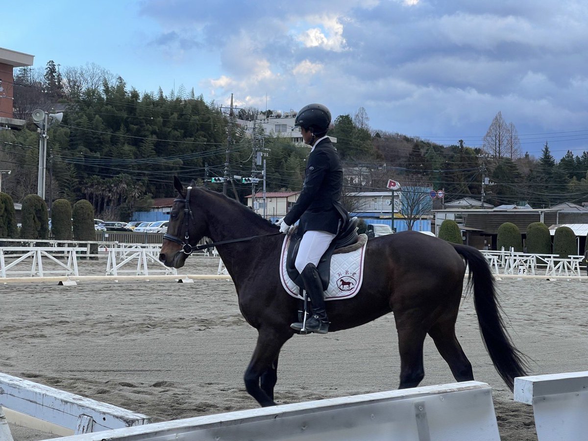 サトノヴィクトリーさん
やっぱりカッコイイのだ(^^) 