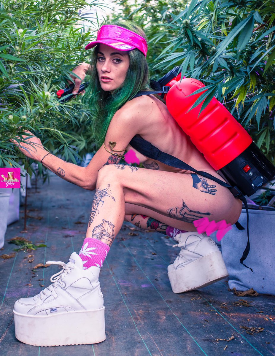RoyalAk420's tweet photo. Me for CannabefreeGirls 
By Tyron Molteni

#420 #cannabiscommunity #weed #model #weedmodel #myweedisbetterthanyours #cannabisculture #marijuana #cannabis #420girls #420friendly #grower #stoners #weedlovers #420life #ganjagirl #highcommunity #stayhigh #420life #stonerfam https://t.co/fYO2OkAkW9
