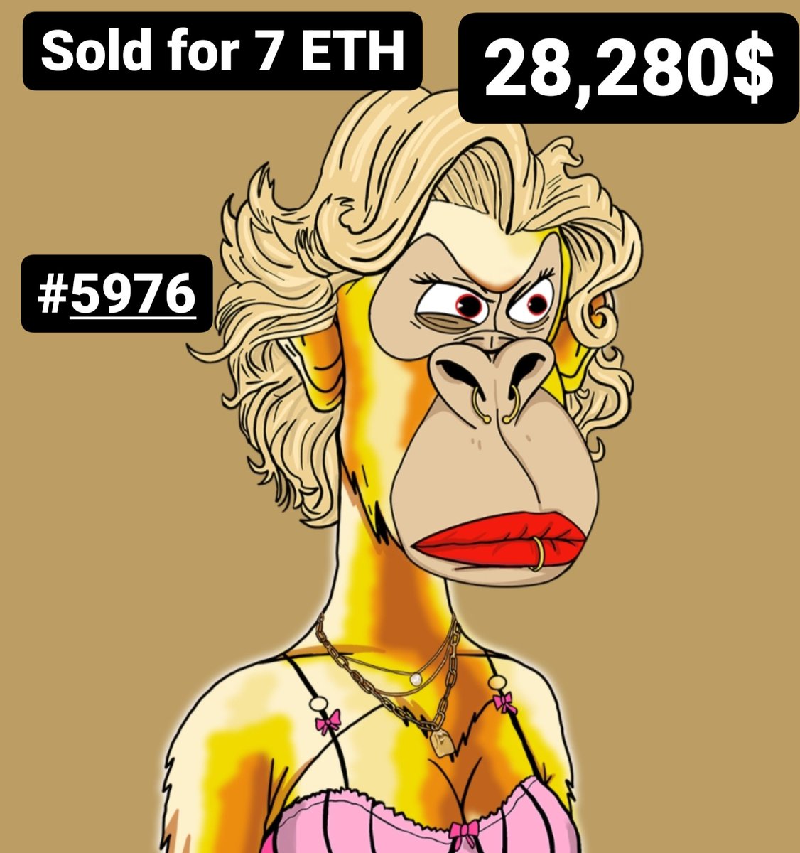 GOLDI GOLD DAY for <a href="/DApeWives/">Desperate ApeWives</a> fam 
This is how you start a week!

join now!  

#DAW community