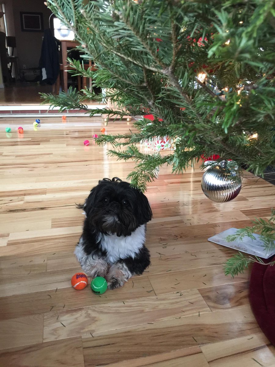 🌈smurf and her sister 🌈bailey, maddie and riley tweet media