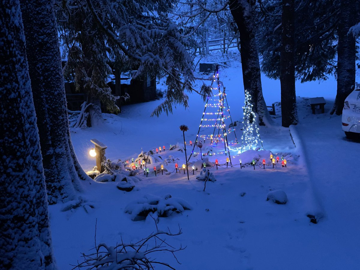 heythreej's tweet photo. Meanwhile in Seattle… #snow #washington #seattle #callingintowork #christmas #winterwonderland @kark @FOX16News https://t.co/xP5IHt7hkX