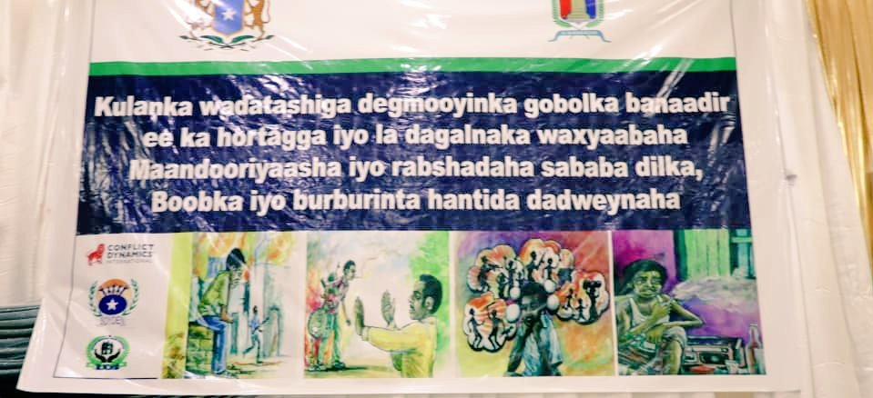 Somali Youth Development Network tweet media