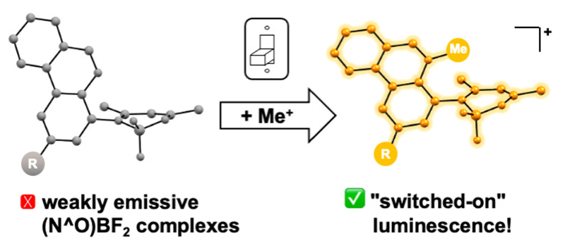 Check out the latest from @umanitoba @herbert_lab's @ChemExcited and @jasonbraun27 and @DurhamChemistry‘s JAG Williams showing how methylation can switch on bright emission in (N^O)BF2 complexes! pubs.acs.org/doi/10.1021/ac…