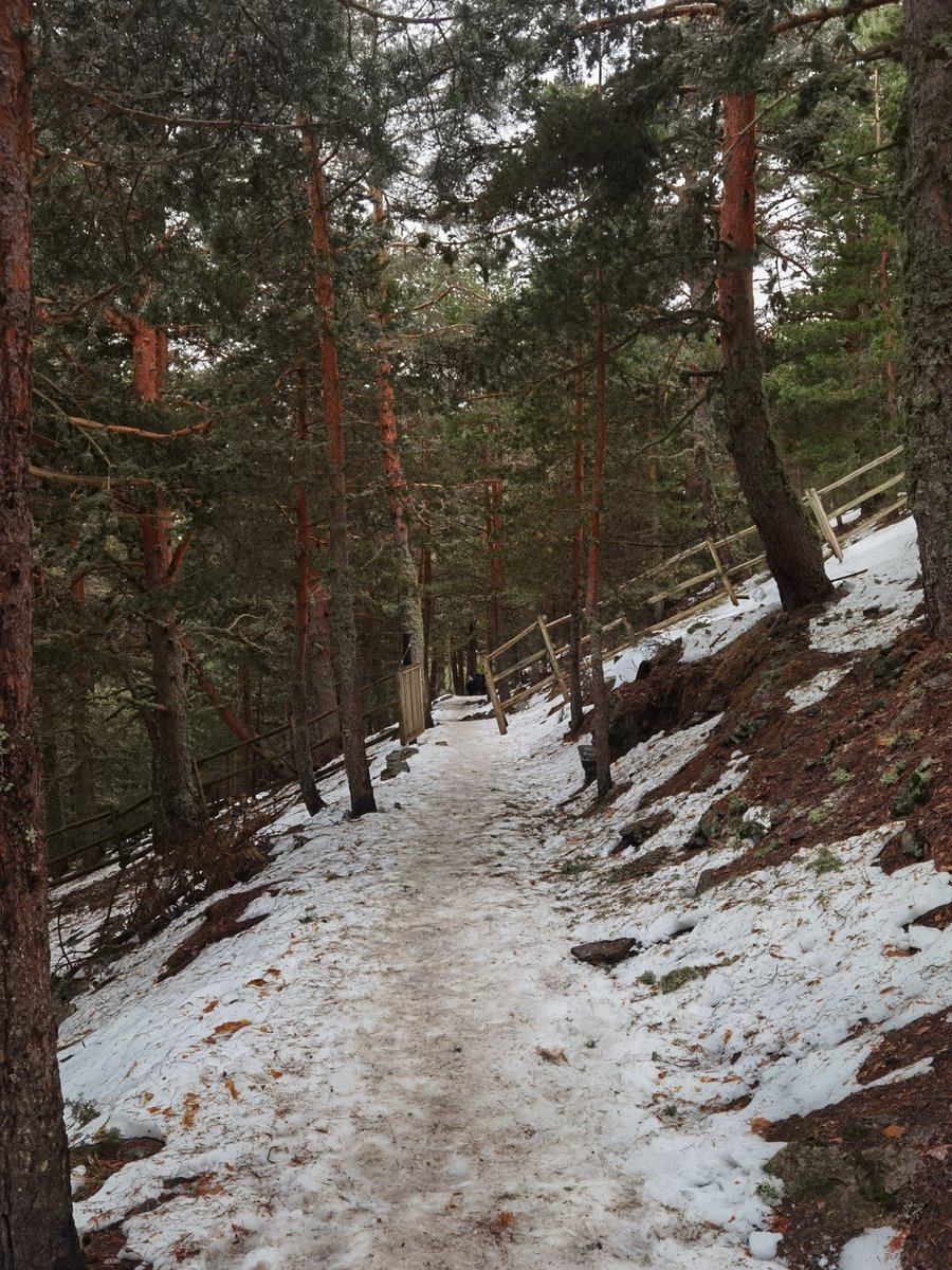 Angievc_'s tweet photo. Maravilla ❄️💙 https://t.co/GEgEhIbpdo