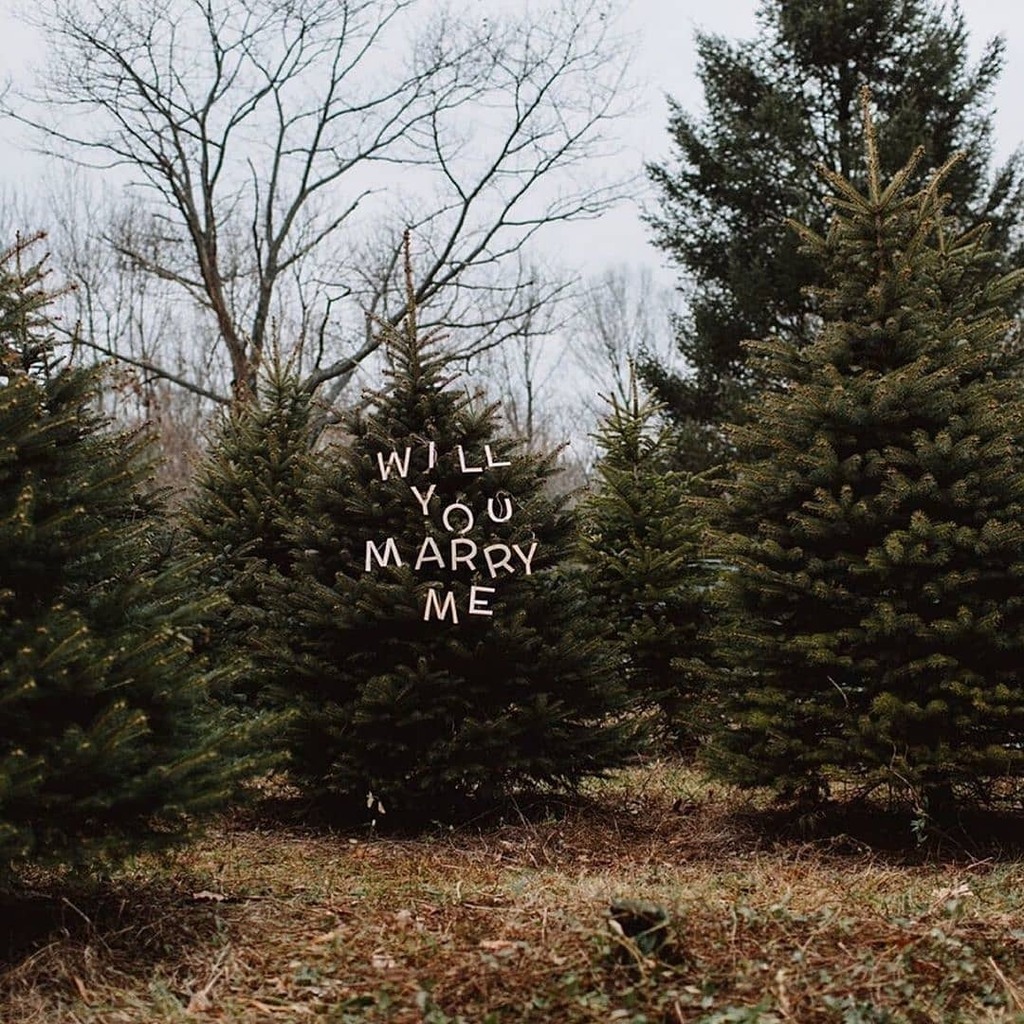 luxuryxweddings's tweet image. Engagement season is in full swing! How cute is this proposal?😍🌲

Photography: @withloveandembers
​
​#todaysluxuryweddings #howheasked #forest #forestphotography #forestlovers #marriageproposal #forests #marriage_proposal #proposalmarriage #marriageproposalideas #forestwalk …