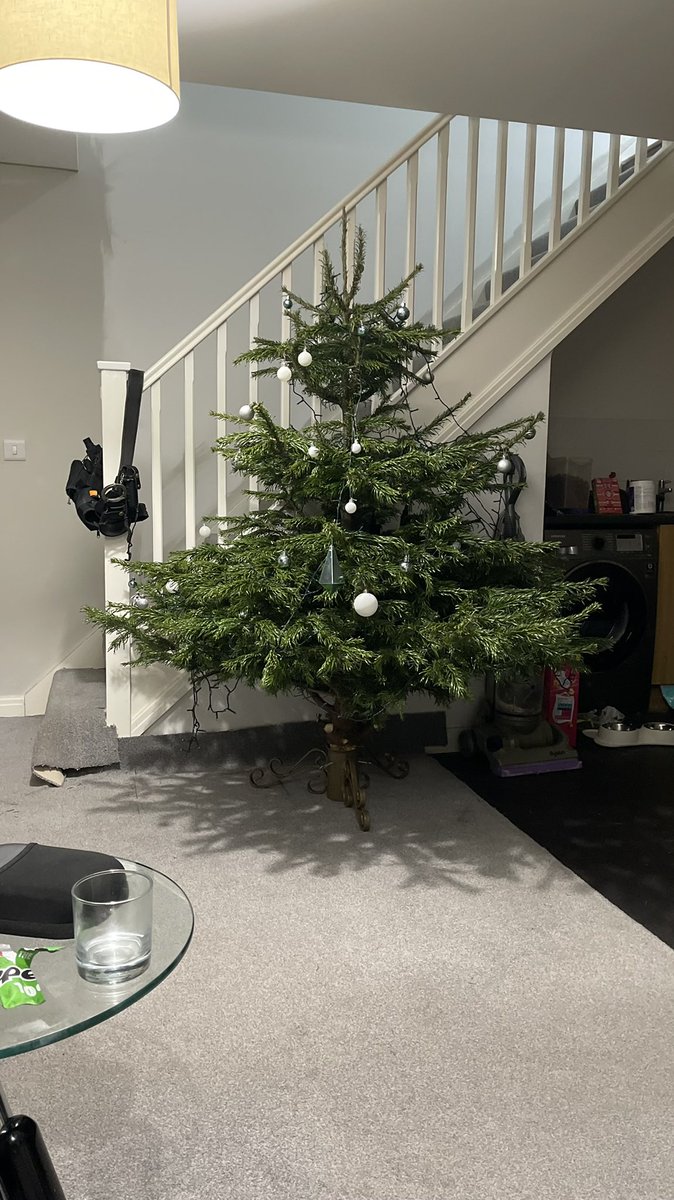 KarlBaker666's tweet photo. @PaddyMcGuinness The puppy has taken a liking to ours, so bald for the first third! https://t.co/MaeU3cEGDx