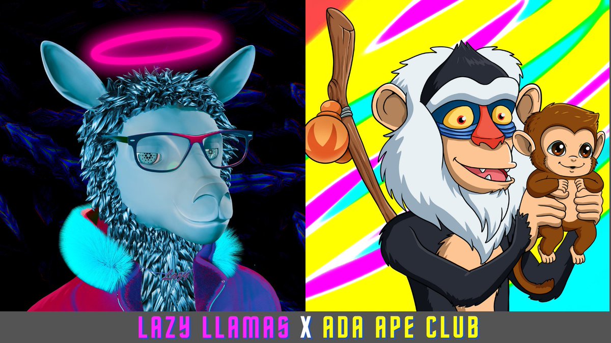 LazyLlamasCNFT's tweet photo. 🚨Special Collab Giveaway🚨

Win: Two Exclusive NFTs from ADA APE CLUB x LAZY LLAMAS!🔥

To Enter:
1⃣Follow @AdaApeClub &amp; @LazyLlamasCNFT 
2⃣Like &amp; Retweet 

Winners announced in 48 hours! 
#CNFTGiveaway #NFT

Discord:
🐵https://t.co/QGrpAAFeuk
🦙https://t.co/TA1KK2pvFq https://t.co/guxEcKv6bC