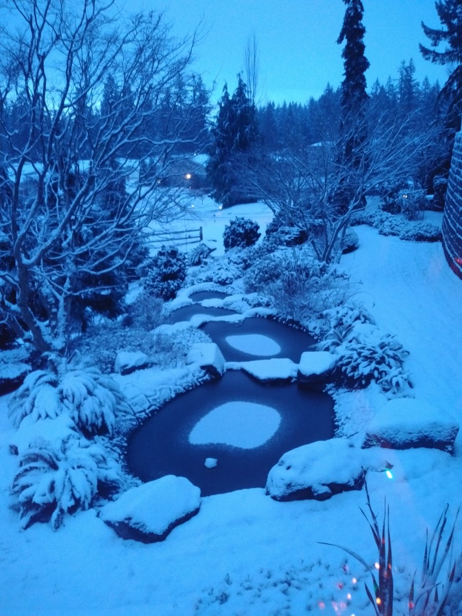 mapleveewesem's tweet image. Does a white December 26th count? We had some flurries yestetday, but no accumulation until the overnight into this morning. It's not supposed to get above 28° until Thurs. 😳😬 
#WhiteChristmas #SeattleSnow #Seattle #Seattlefreeze #PNW