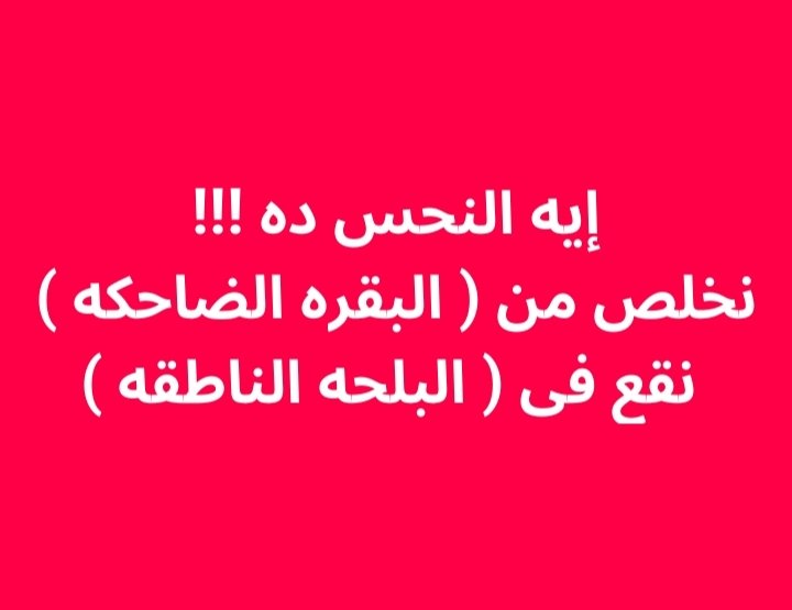 BirdMedia25's tweet photo. #يوم_الخلاص_قرب_ياسيسي https://t.co/QBCDmkbrrr