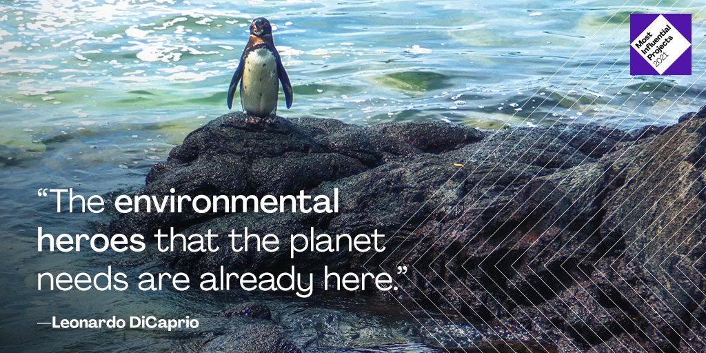 This #MIP2021 project has some serious star power. Fueled by a US$43 million pledge from <a href="/LeoDiCaprio/">Leonardo DiCaprio</a>, a #project led by <a href="/rewild/">Re:wild</a> and @NoExtinctions aims to reintroduce 13 species to the Galápagos Islands—helping the area ecologically and economically: ow.ly/omof50HhJSS