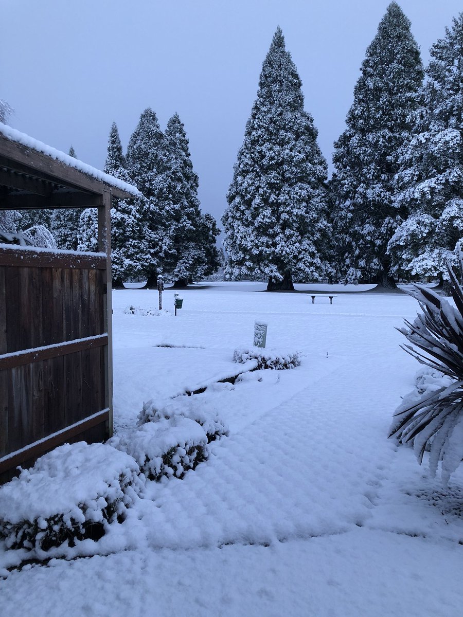 Snow golf anyone? It’s a snowy Oregon “Good Morning” from the 7th tee ⛳️
