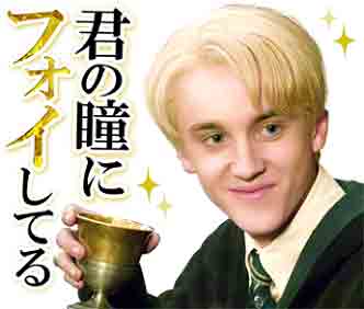 魔法使いのマル 