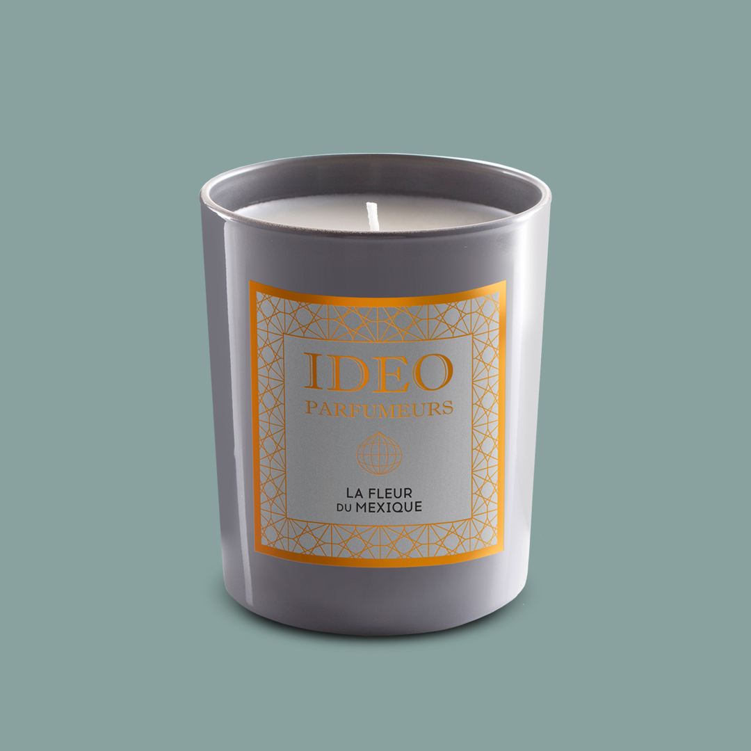 IdeoParfumeurs's tweet photo. Did Santa miss a gift from your wishlist? It is never too late to make it up to yourself! LA FLEUR DU Mexique, Scented Candle

#ideoparfumeurs #positivebeauty#selfcarelover #zerowastebeauty #christmas2021 #christmasgiftideas #holidayseason2021 https://t.co/biioouIbWv