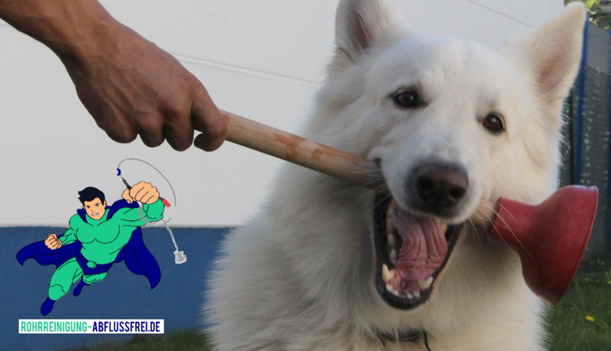 rohrreinigung-abflussfrei.de
0157 35991 588

#rohrreinigung #rohrreiniger #abflussreinigung #abfluss #abflussverstopft #abflussrohr #handwerker #handwerkerdmt #installateurdmt #dmt #arbeit #arbeiter