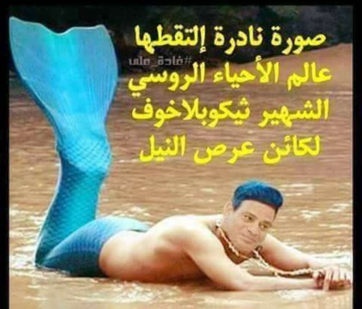 BirdMedia25's tweet photo. #يوم_الخلاص_قرب_ياسيسي https://t.co/8aWhPoipD5