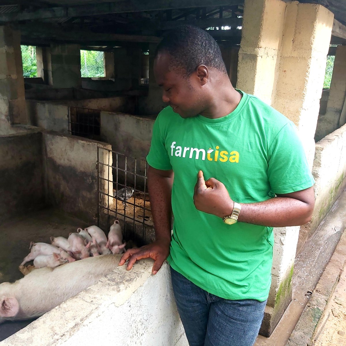 edimamatthew's tweet photo. Ending the year with 4 deliveries (adding 24 new babies to the family) in the last 7 days of the year is a major win for us at @farmtisa. The growth recorded this year has been mind-blowing! A total of 161 piglets were born and about 50 sales made, in just 1 year of operation. https://t.co/mdKbDLZFID