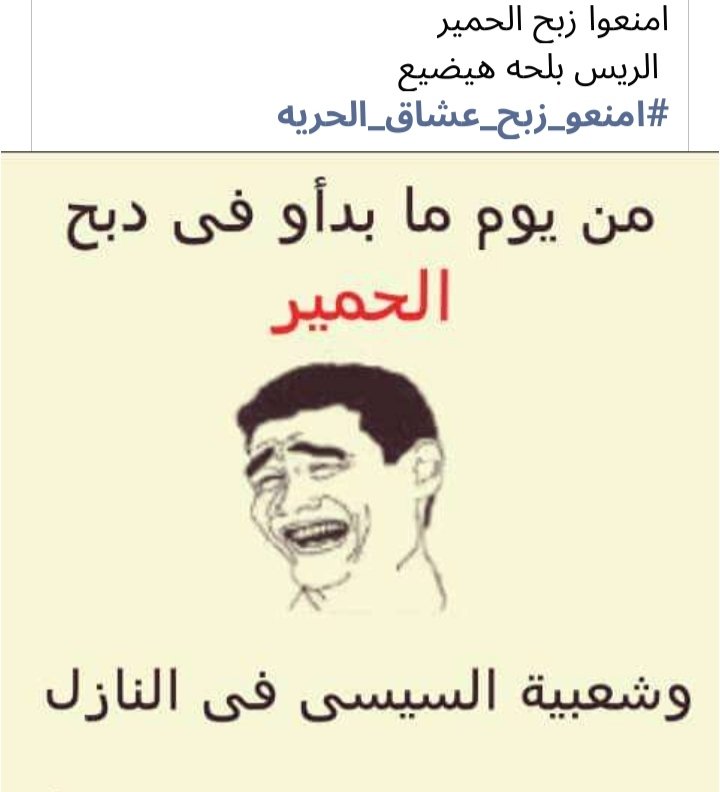 BirdMedia25's tweet photo. #يوم_الخلاص_قرب_ياسيسي https://t.co/KFNV9QUTkk