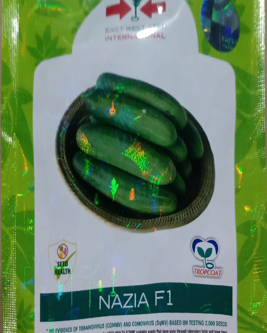 खीरे के बीज उपलब्ध!