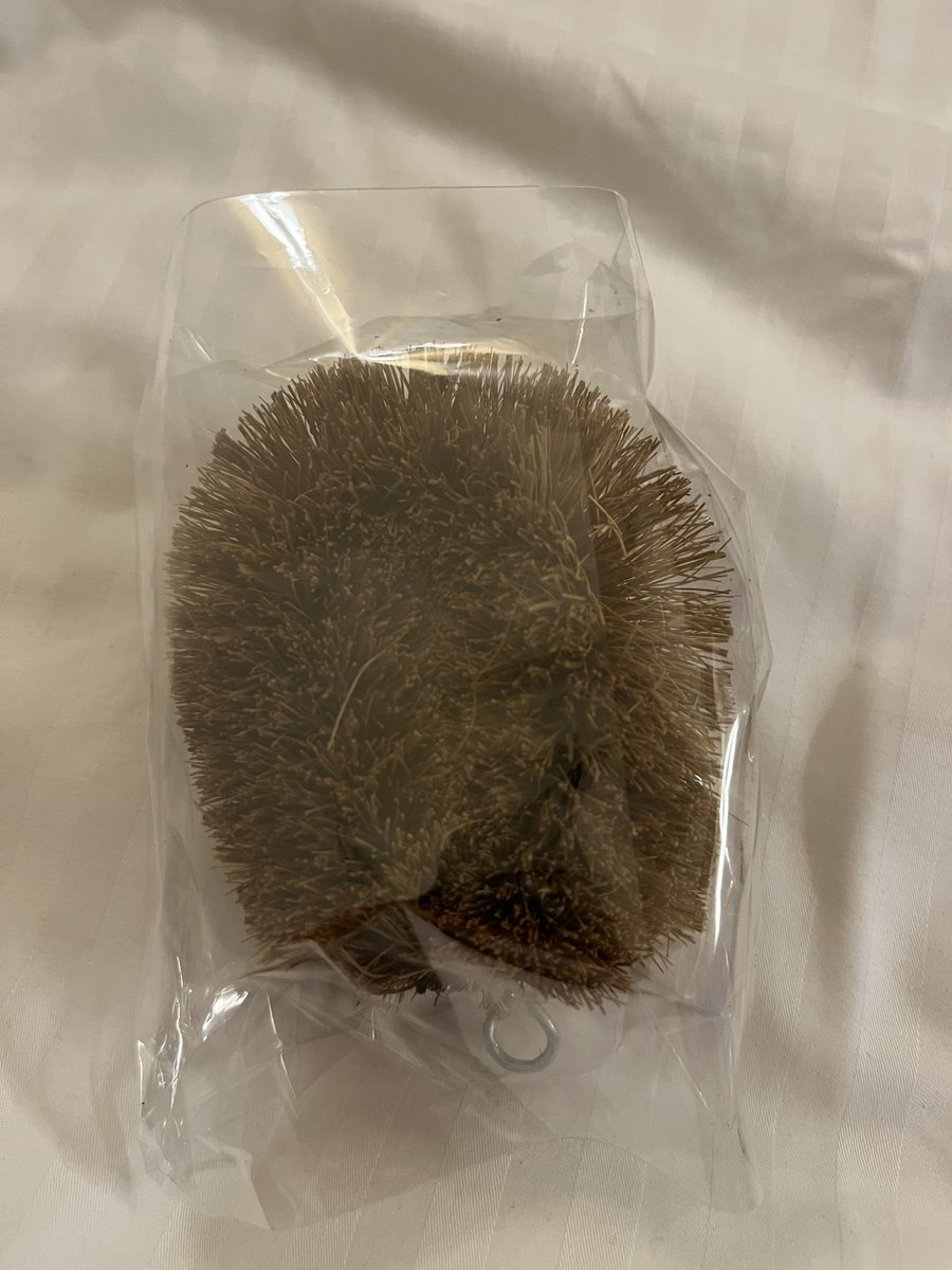 kaztogo's tweet image. 遅くなったけど、これが名古屋の景品、ウワサの「たわし」だ！😆
#鶴 #ATC2021