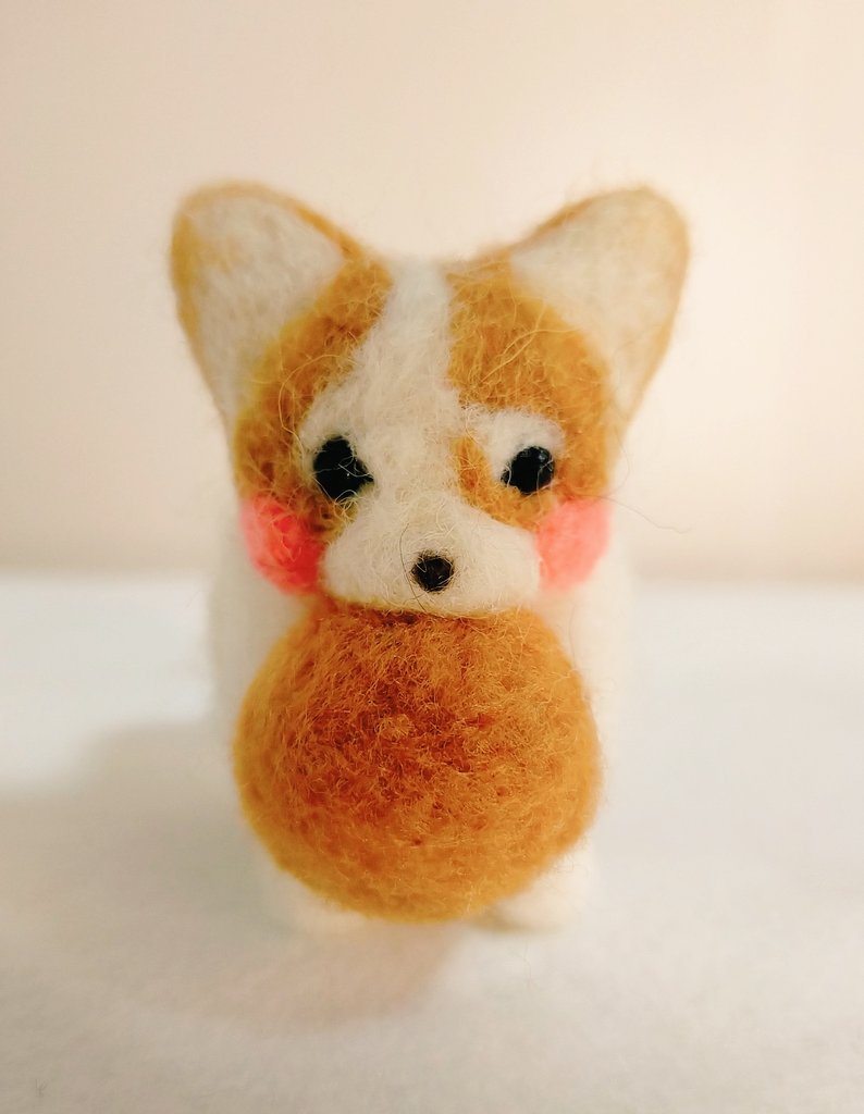 Tweets With Replies By コーギー犬ノエさん Noel Corgi Twitter