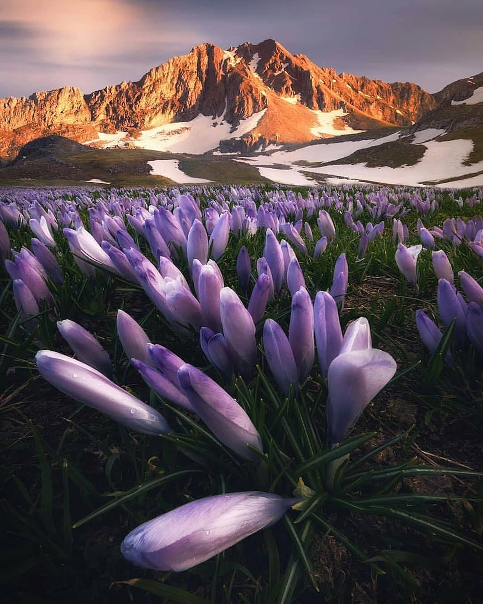 DiscoverGRcom's tweet photo. What a setting for a Boxing Day canter to work off Christmas lunch! The #Tzoumerka mountains in #Epirus have to be the unsung heroes of the Greek countryside. 😍 #DiscoverGreece 

📍 Lakmos 

📷 alexandrosmalapetsas 
[Instagram] https://t.co/m16PXm3g4J