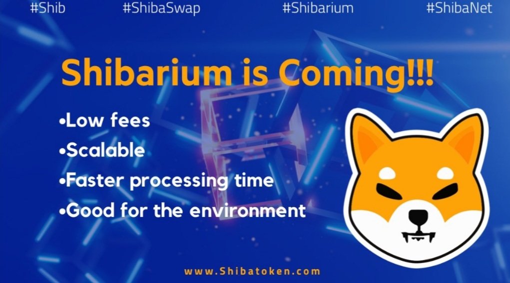 serial2716057's tweet photo. $SHIB #ShibAMA https://t.co/GkcylzNJKE