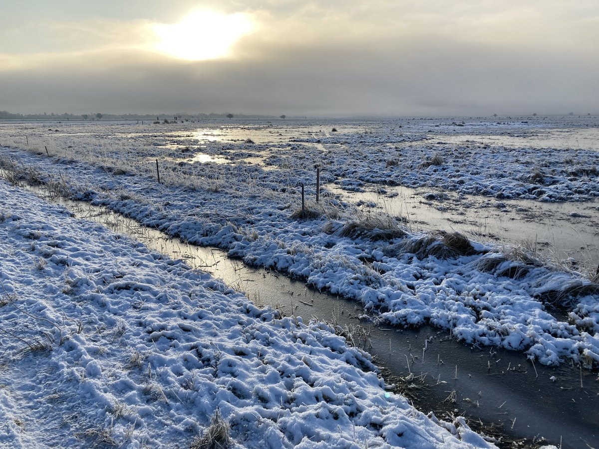 White field with snow and ice