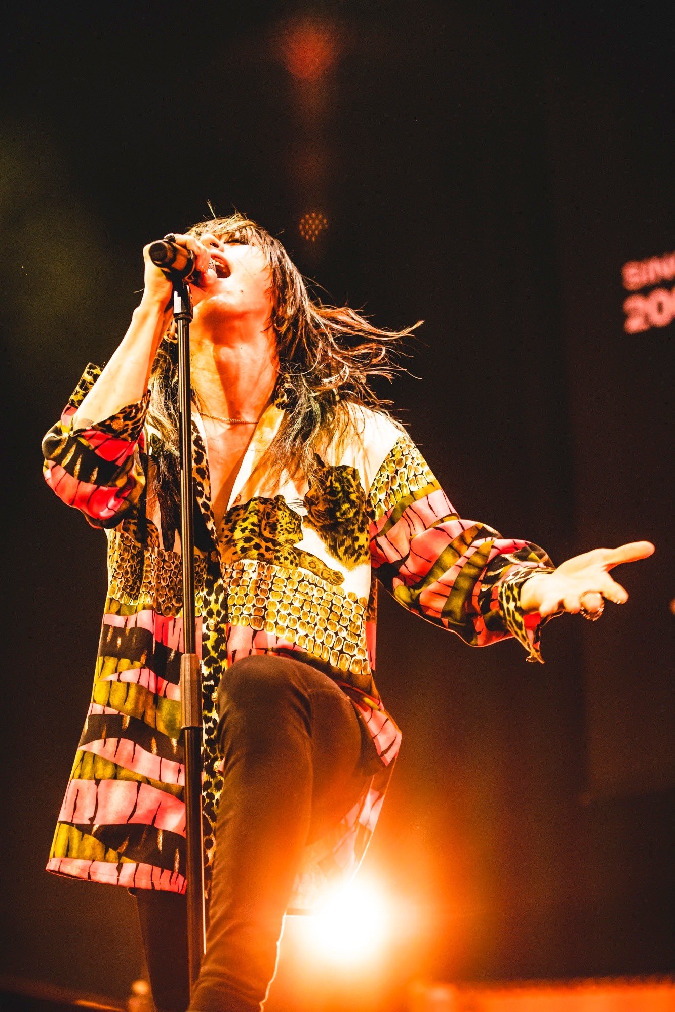 𝐃𝐋𝐎𝐏 | SUPER BEAVER 20th Anniversary 都会のラクダ TOUR