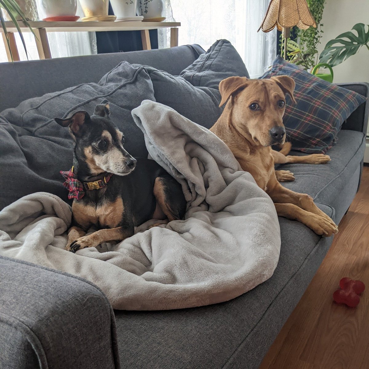 Steven Ciocci tweet media